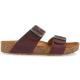 Haflinger Bio Andrea 1
