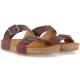 Haflinger Bio Andrea 2