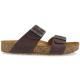 Haflinger Bio Andrea 1