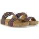 Haflinger Bio Andrea 2