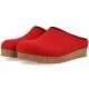 Haflinger Grizzly Kris 2