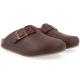 Haflinger Porto 2