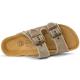 Natural World Tropic 2