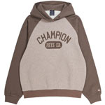 Champion Hooded Sweatshirt Phys Ed Mn Braun/Beige (MDNM/LHB)