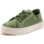 Natural World Old Gavi Khakigrün (Kaki Enz)