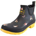 Rajn Dog Low Schwarz (Black)